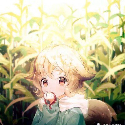 东方卫视低智商犯罪